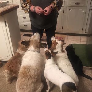 Meet your Posher, Jami